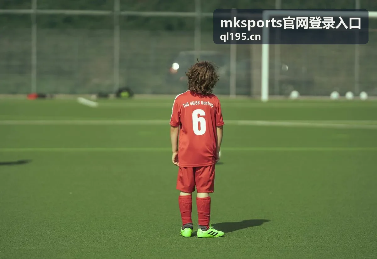 mksports官网登录入口客户端下载与适配说明封面