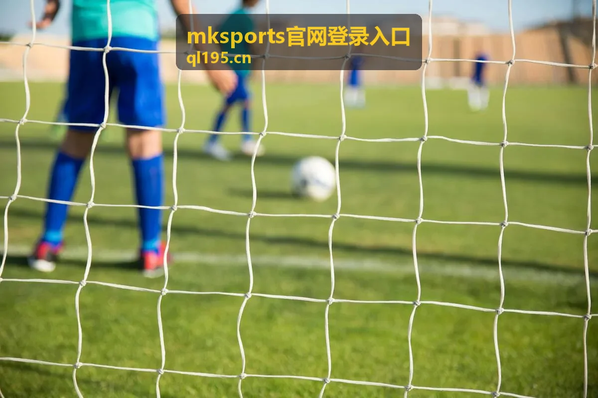 mksports官网登录入口登录异常排查封面