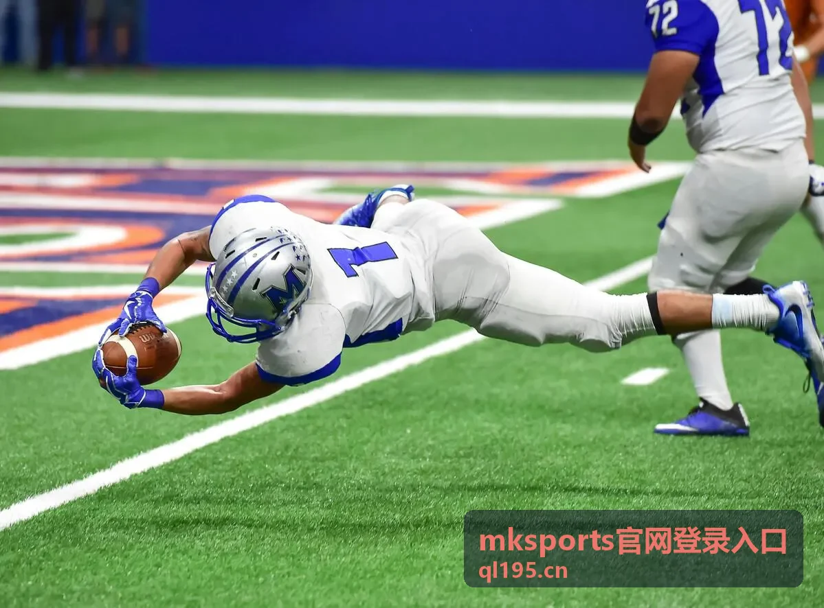 mksports官网登录入口账号安全验证说明配图